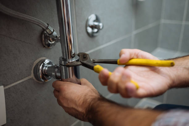 Best Residential Plumbing Services  in Carthage, IL